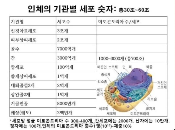 e6b6bd91980db31f5c9d8d6ac471d6fd_1787041957_1915.png e6b6bd91980db31f5c9d8d6ac471d6fd_1787041