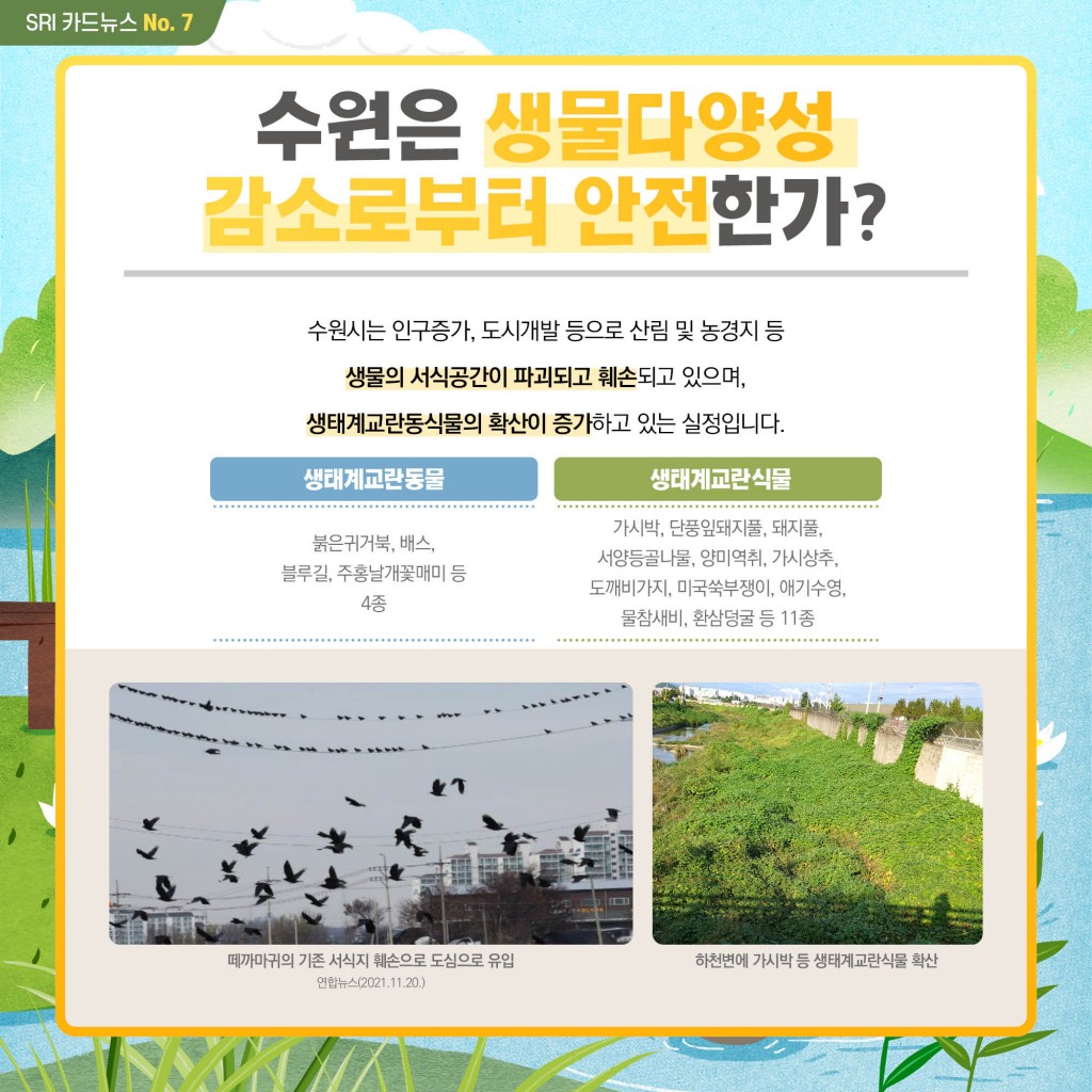 생물다양성을 들어보셨나요? 이미지 6