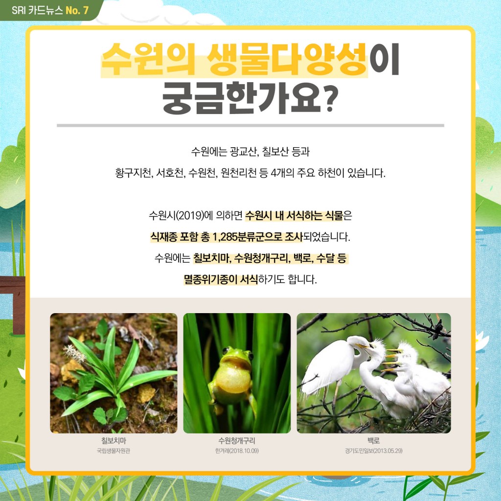 생물다양성을 들어보셨나요? 이미지 5